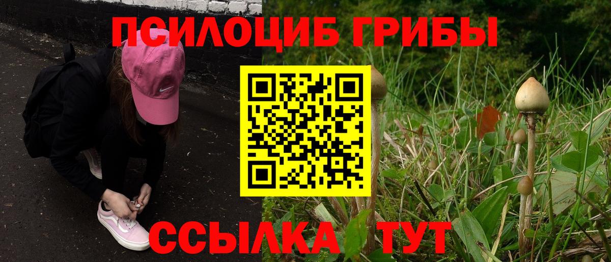 Псилоцибиновые грибы Psilocybine cubensis  Псилоцибиновые грибы Psilocybine cubensis  как найти наркотики  Кисловодск  Вход с VPN 