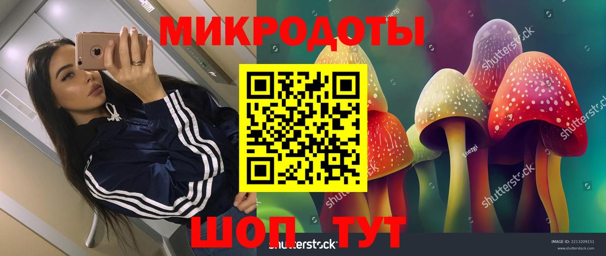 Псилоцибиновые грибы прущие грибы Кисловодск